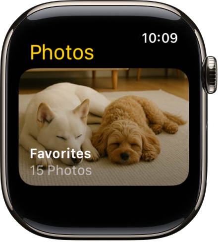 App Foto di Apple Watch menampilkan album bernama Favorit.