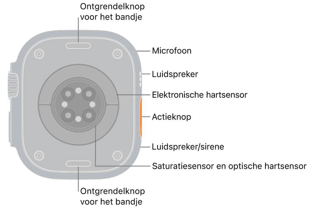 De achterkant van de Apple Watch Ultra 3, met aan de boven- en onderkant de ontgrendelknoppen van het bandje. Aan de zijkant bevinden zich een microfoon, een luidspreker, de elektrische hartslagsensor, de actieknop, een luidsprekerpoort waaruit het geluid van de sirene komt, de saturatiesensoren en de optische hartsensoren.