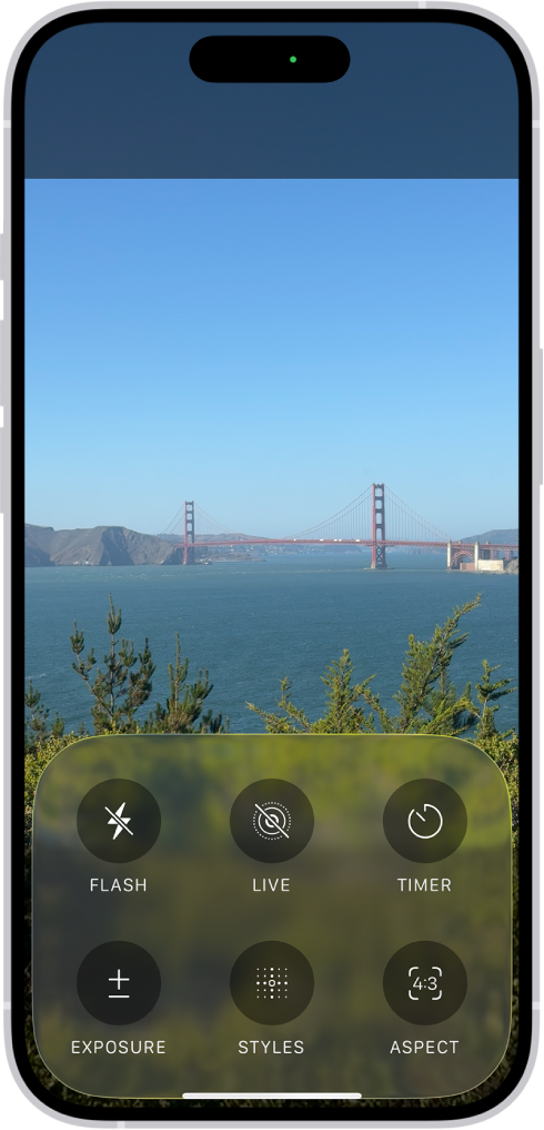 Kamera dalam mode Foto. Di bagian bawah layar terdapat tombol untuk kontrol kamera berikut: Kilat, Live, Timer, Pencahayaan, Gaya, dan Aspek.