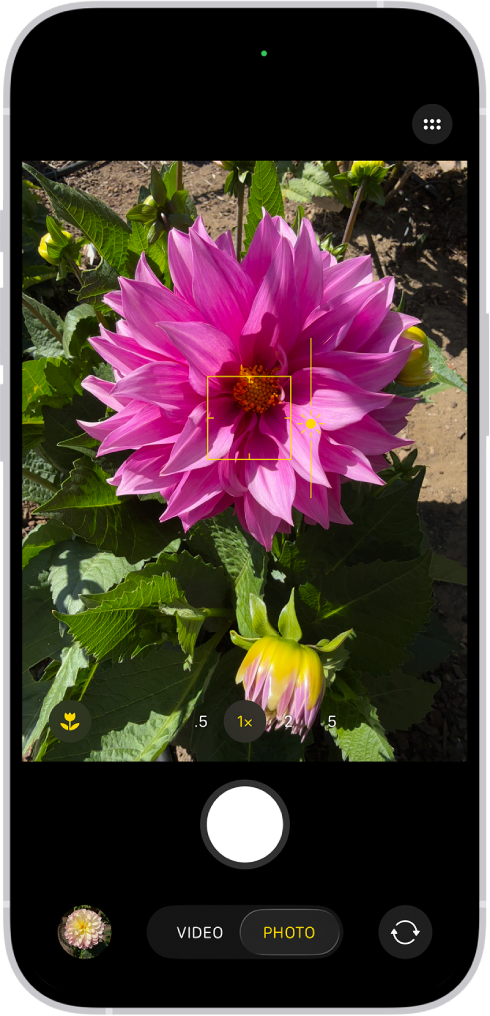 Kamera dibuka dalam mode Foto. Di jendela bidik, fokus dikunci di subjek dan penggeser untuk menyesuaikan level kecerahan berada di samping subjek.