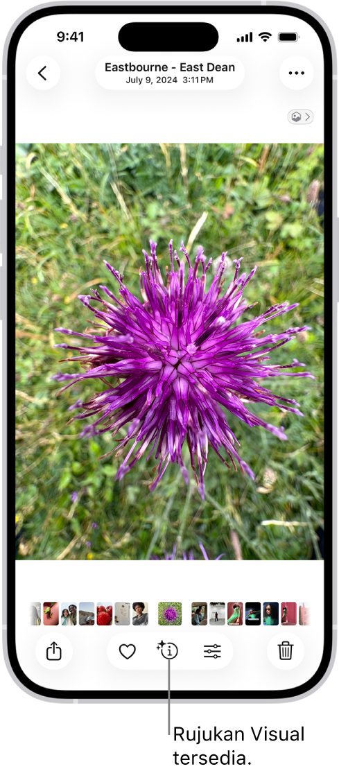 Foto dibuka dalam app Foto. Di bahagian bawah skrin, butang Info memaparkan ikon yang menunjukkan bahawa maklumat Rujukan Visual tersedia.