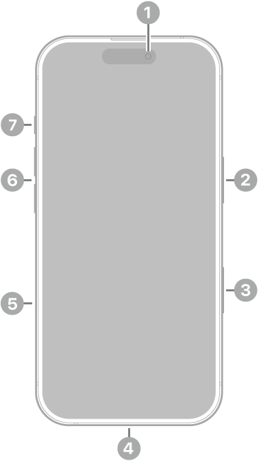 Vista frontal do iPhone 17. A câmera frontal está na parte superior central. O botão lateral encontra-se no lado direito. O conector USB-C encontra-se na parte inferior. No lado esquerdo, de baixo para cima, estão a bandeja do SIM, os botões de volume e o botão Ação.