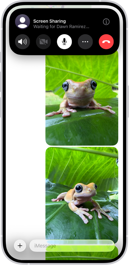 Čakajúca žiadosť o zdieľanie obrazovky v apke Správy.