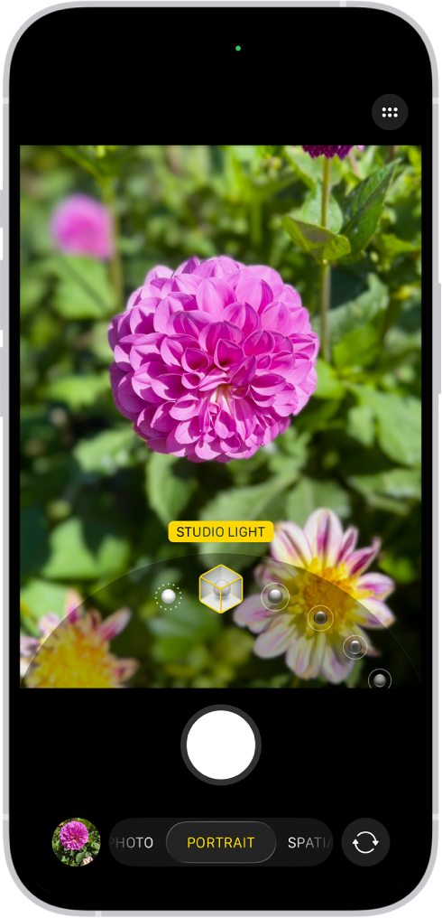 Skärmen i Kamera i porträttläge. I sökaren är motivet skarpt och bakgrunden suddig. Reglaget för att välja porträttljus är öppet nedtill i ramen och Studioljus har valts.