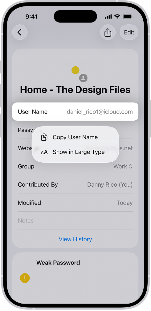 اکاؤنٹ کی اسکرین جس میں ہائی لائٹ کیا گیا صارف کا نام دکھایا جا رہا ہے اور ساتھ ہی “یوزر نیم کاپی کریں” اور “بڑے سائز میں دکھائیں” کے اختیارات ہیں۔