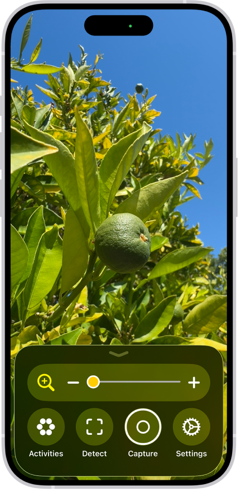 Ứng dụng Kính lúp đang hiển thị hình ảnh cận cảnh của một quả cam xanh.