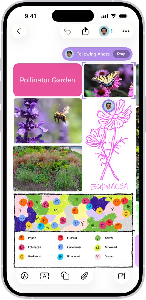 Một iPhone với ứng dụng Freeform đang mở. Bảng bao gồm chữ viết tay, văn bản, bản vẽ, hình, ảnh, video, giấy ghi chú, liên kết và các tệp khác.