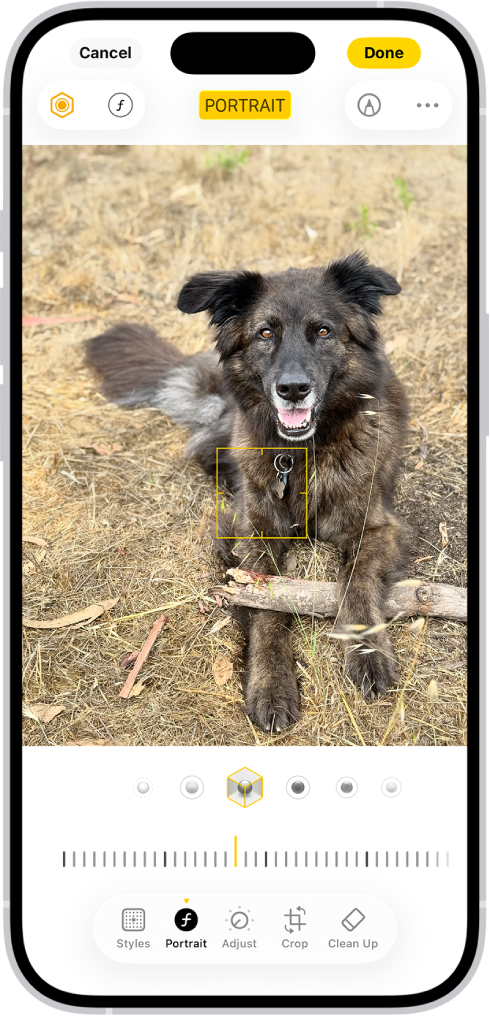 「相片」App 中的「編輯」畫面中央為人像。相片下方是「人像燈光」選項。已選取「影樓燈光」。下面是調整效果程度的滑桿。在螢幕下方從左至右為「人像」、「調整」、「濾鏡」和「裁剪」按鈕。已選取「人像」按鈕。