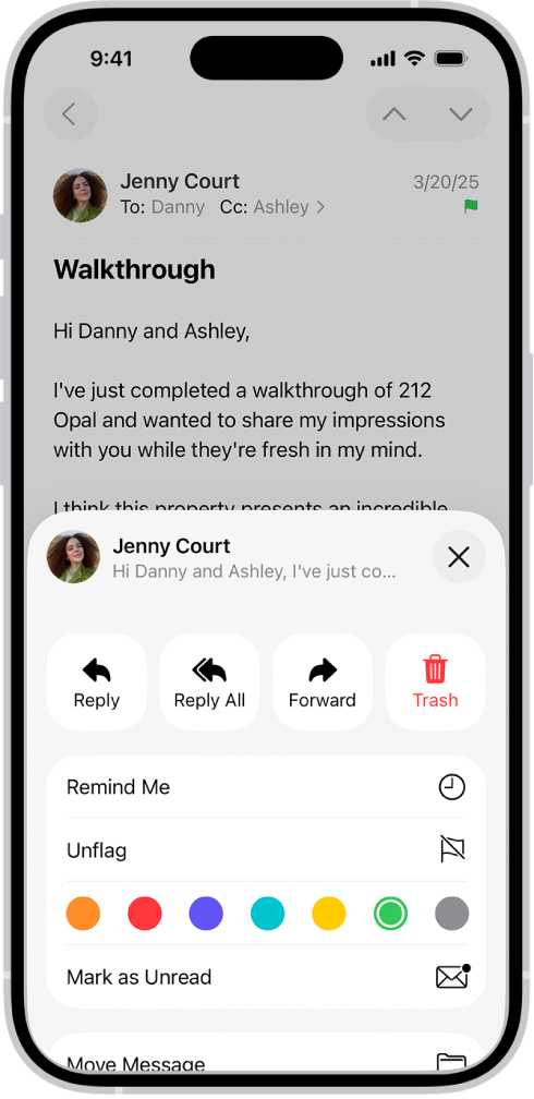 邮件的回复选项显示在屏幕下半部分,包括“取消旗标”按钮和旗标的颜色选项。