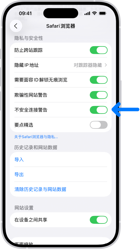 “不安全连接警告”控制,位于“设置”中 Safari 浏览器屏幕上的“隐私与安全性”下方。