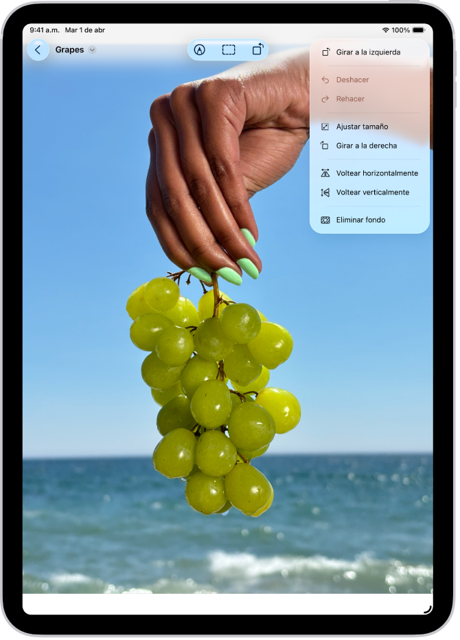 Ventana de la app Vista Previa mostrando una foto con una mano sosteniendo uvas en primer plano. El fondo de la foto muestra el cielo y el océano.