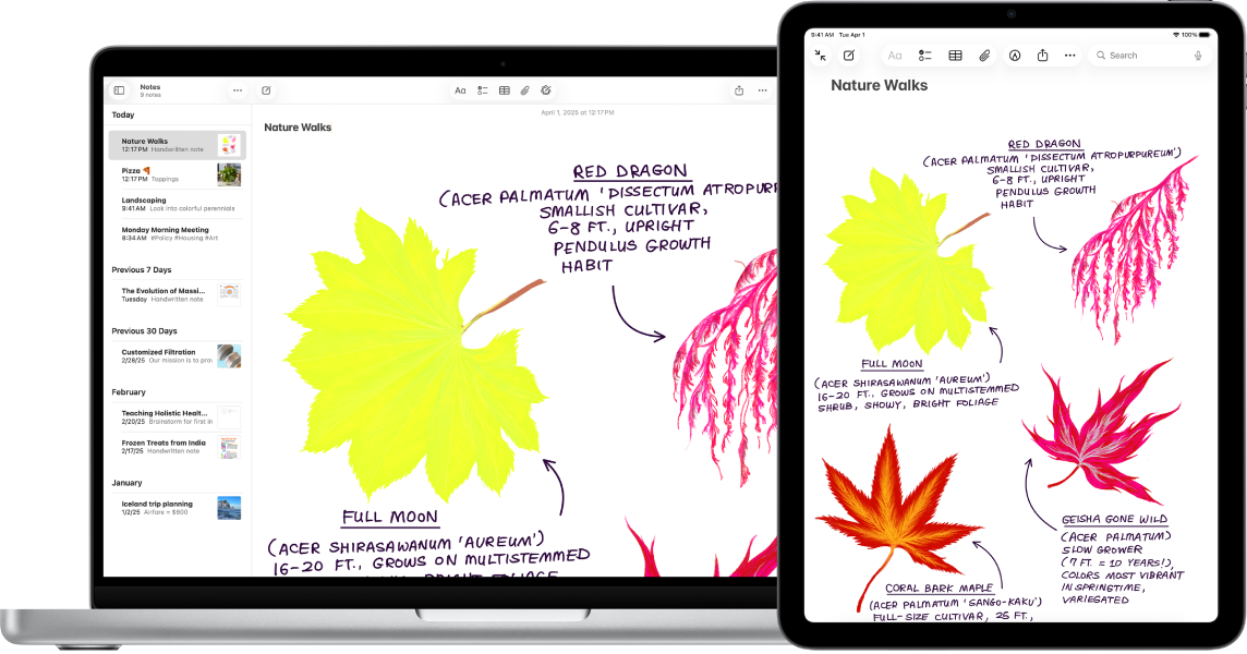 iPad con un dibujo junto a un Mac en el que aparece el dibujo en una nota.