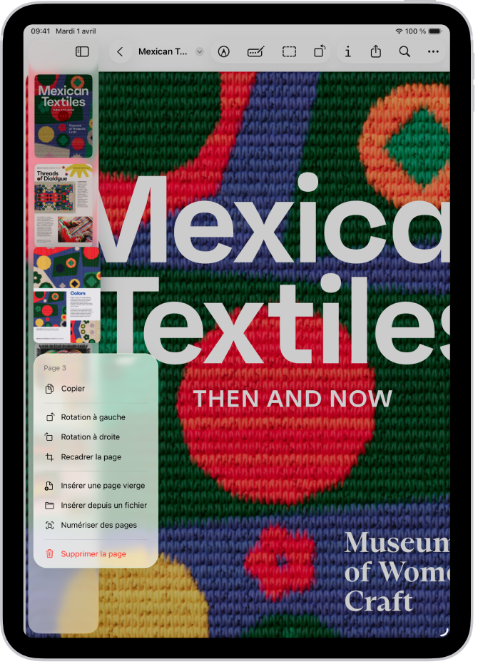 La vue en vignette d’un document PDF, avec des options de page affichées.