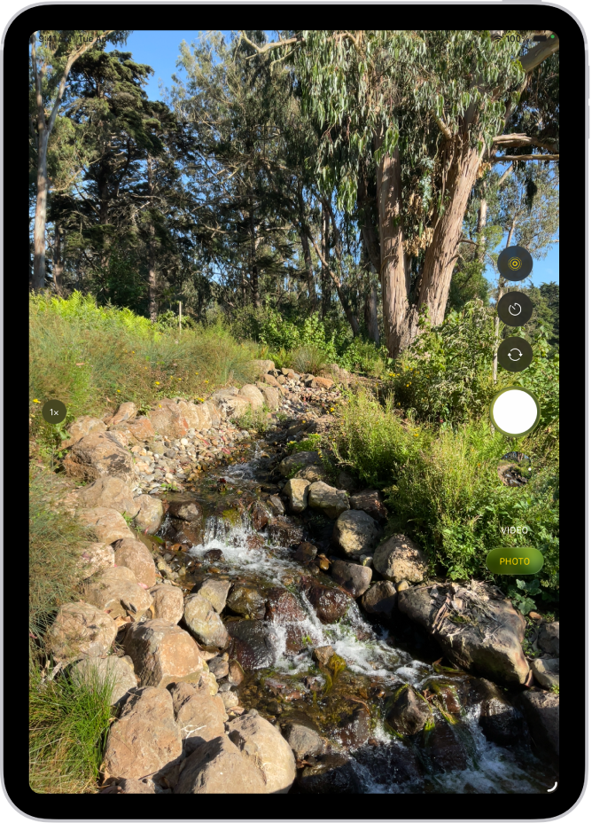 מסך ״מצלמה״ פתוח במצב ״תמונה״.