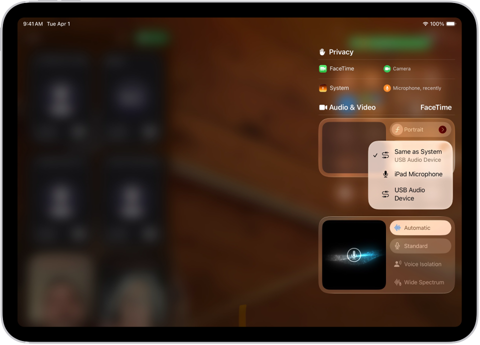 I controlli per scegliere l’input audio per una chiamata FaceTime.