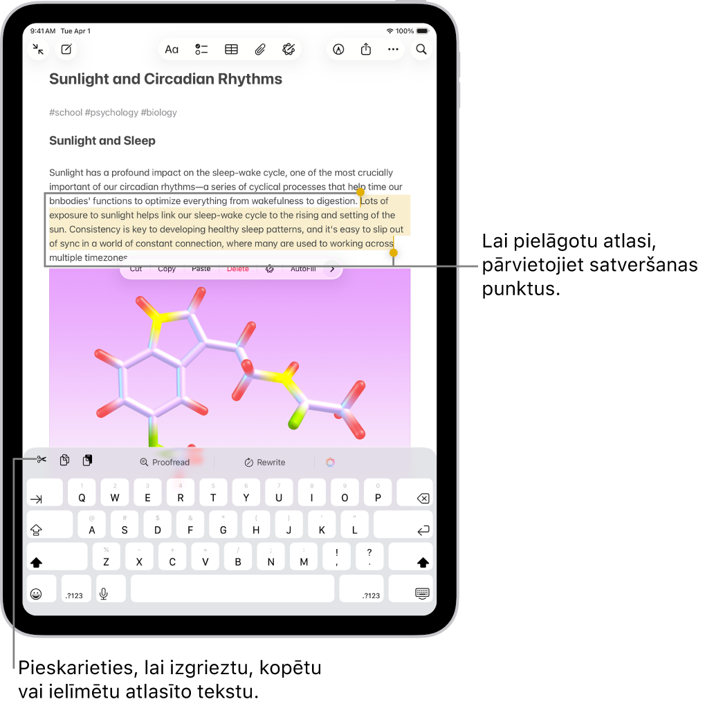 Teksts ir atlasīt lietotnes Notes piezīmē. Virs atlasītā teksta ir pogu izvēlne, tostarp pogas Cut, Copy un Paste. Atlasītais teksts ir izcelts, un tam ir satveršanas punkts, lai atlasi pielāgotu jebkurā galā.