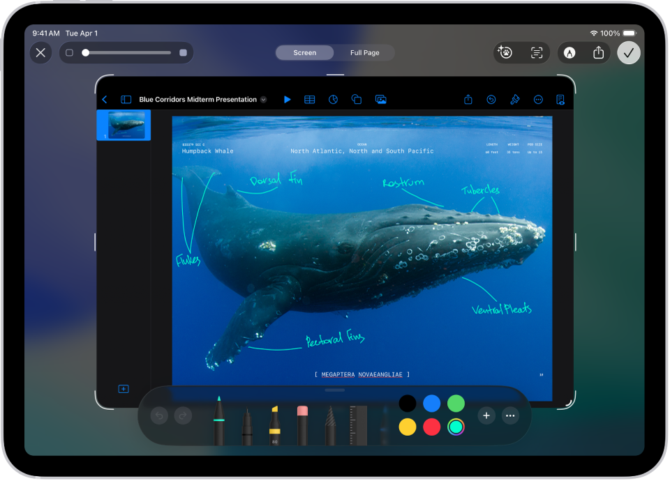 Zrzut ekranu prezentacji Keynote z komentarzami dodanymi jako adnotacje wykonane przy użyciu niebieskiego markera.