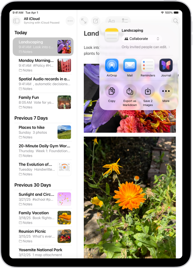 Obrazovka zdieľania fotky, na ktorej sú hneď pod otvorenou fotkou možnosti zdieľania vrátane tlačidla Viac, ktoré umožňuje upraviť možnosti zdieľania.