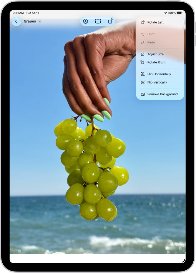 หน้าต่างแอปแสดงตัวอย่างแสดงรูปภาพที่มีมือกำลังถือองุ่นอยู่ในพื้นหน้า พื้นหลังของรูปภาพแสดงท้องฟ้าและมหาสมุทร