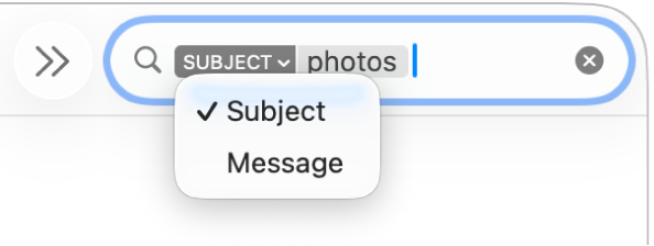 Ένα φίλτρο αναζήτησης στου οποίου το κάτω βέλος έχει γίνει κλικ για εμφάνιση δύο επιλογών: «Θέμα» και «Μήνυμα». Το «Θέμα» είναι επιλεγμένο.