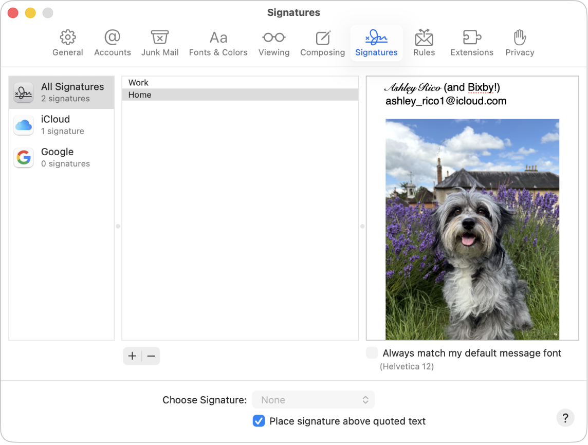 Sous-fenêtre des réglages Signatures de Mail affichant une signature qui contient du texte mis en forme ainsi qu’une image.