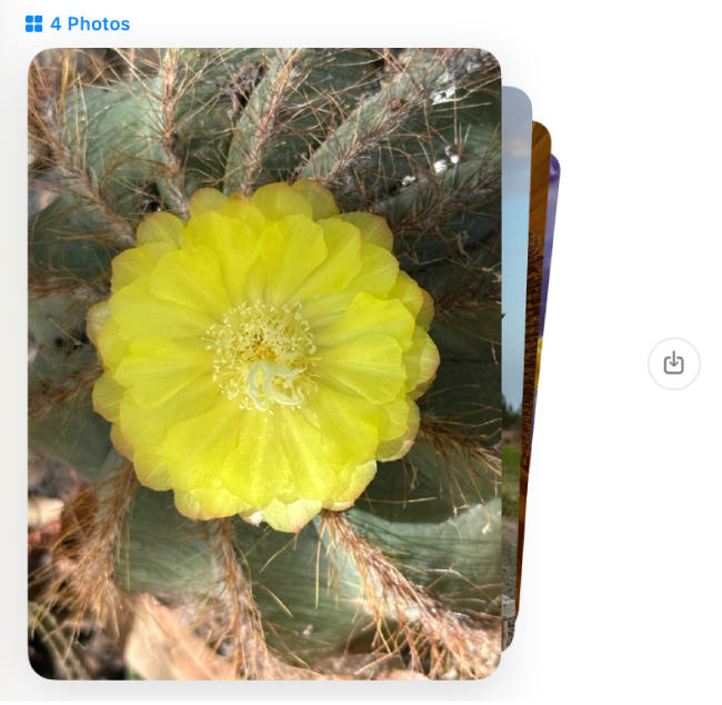 Μια στοίβα έξι φωτογραφιών σε μια συζήτηση. Κάντε κλικ στο κουμπί «Αποθήκευση φωτογραφίας» στα δεξιά για να αποθηκεύσετε τις φωτογραφίες στη Βιβλιοθήκη φωτογραφιών σας.