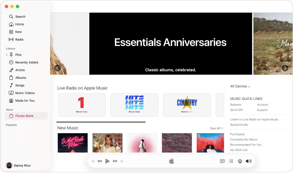The iTunes Store main window: in the sidebar, iTunes Store is highlighted.