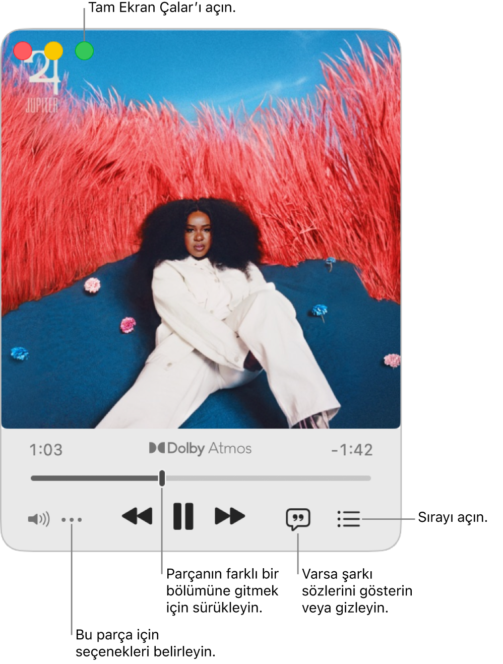 Çalmakta olan parçanın denetimlerini gösteren genişletilmiş Mini Çalar. Sol üst köşede Tam Ekran Çalar’ı açıp kapatmak için kullanılan pencere denetimleri bulunur. Pencerenin ana kısmında çalan parçaya ait albüm resmi gösterilir. Resmin altında parçanın farklı bir kısmına geçmeyi sağlayan bir sürgü ve ses yüksekliğini ayarlamaya, şarkı sözlerini göstermeye ve sırayı açmaya yönelik düğmeler vardır.
