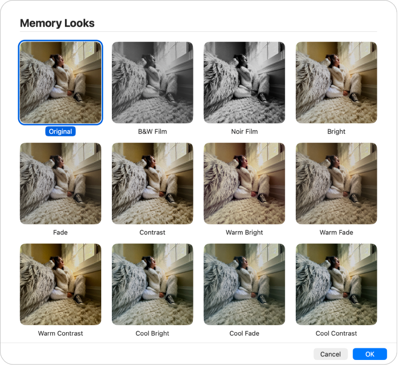 Finestra de l’app Fotos en què es veuen diversos estils que es poden aplicar als ítems d’un record.
