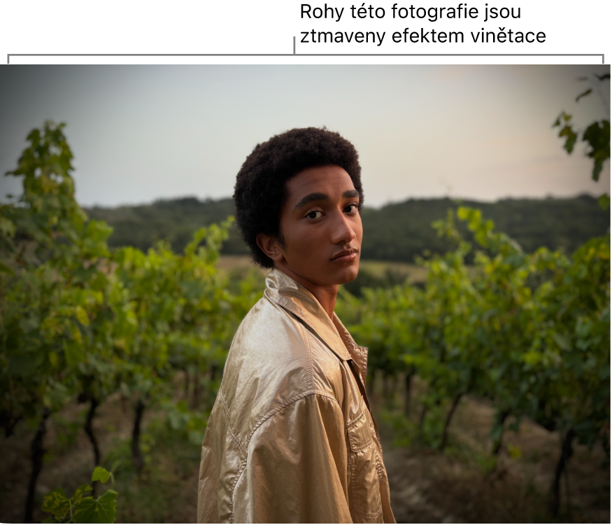 Fotografie s použitým efektem vinětace – ztmavení okrajů