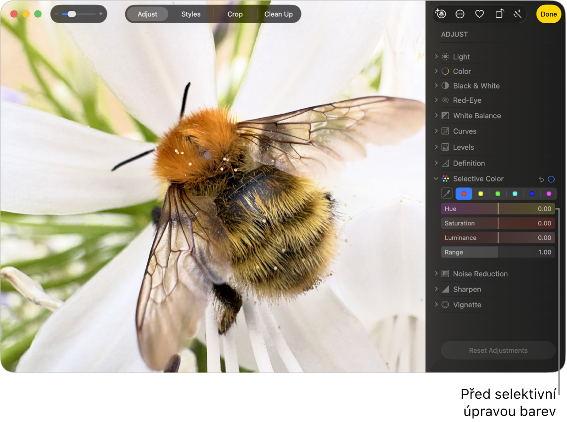 Fotka před selektivní úpravou barev