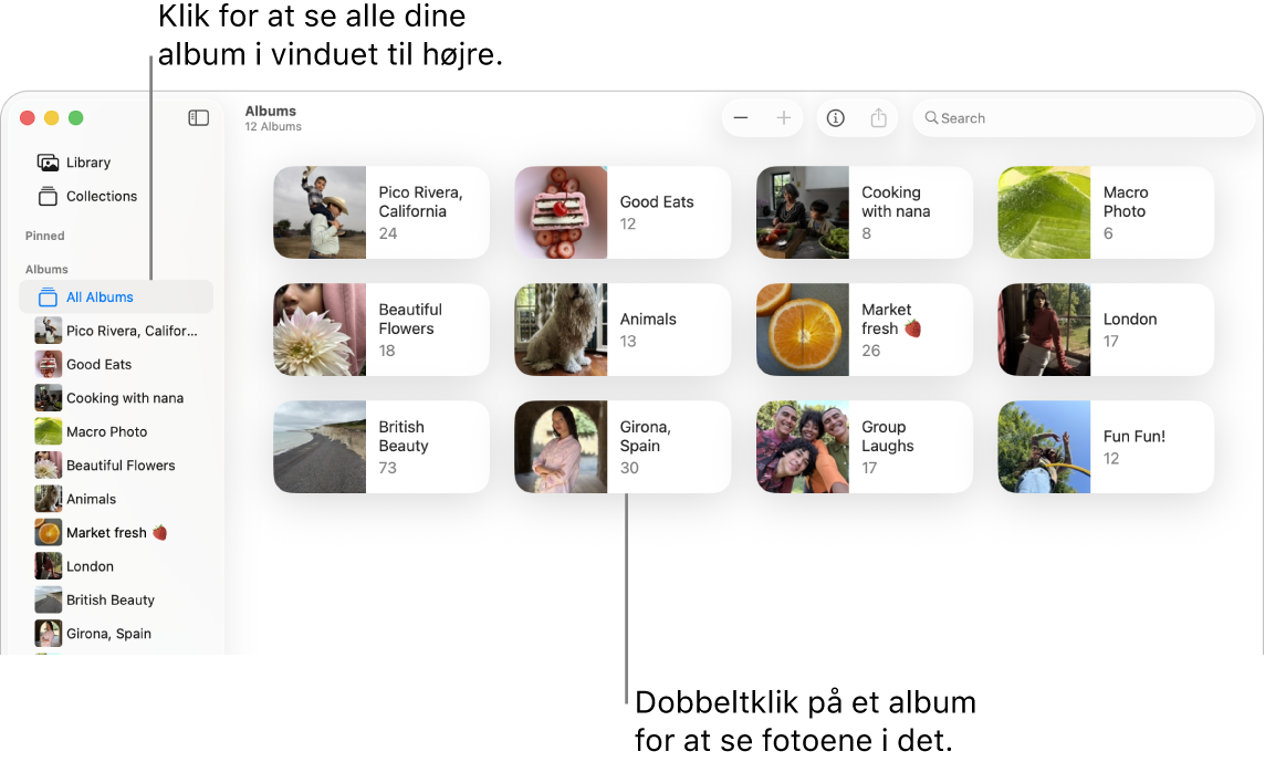 Fotos-vinduet, der viser Album valgt i indholdsoversigten og album vist til højre.