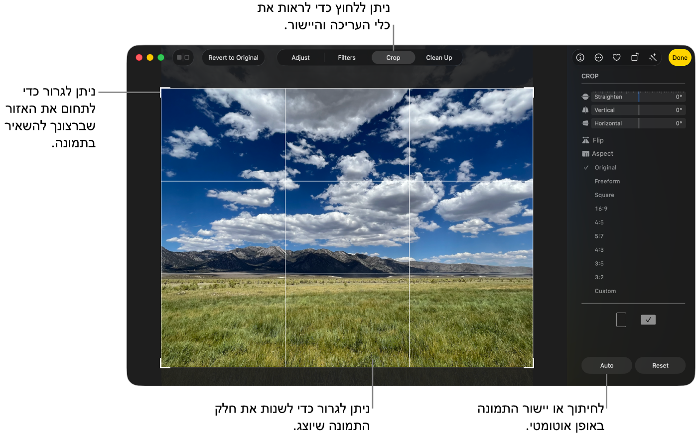 תמונה בתצוגת עריכה כאשר אפשרות החיתוך נבחרת בסרגל הכלים, מלבן בחירה מקיף את התמונה ומחוונים ליישור, אפשרויות עבור יחס גובה-רוחב והכפתורים ״אוטומטי״ ו”איפוס” משמאל.