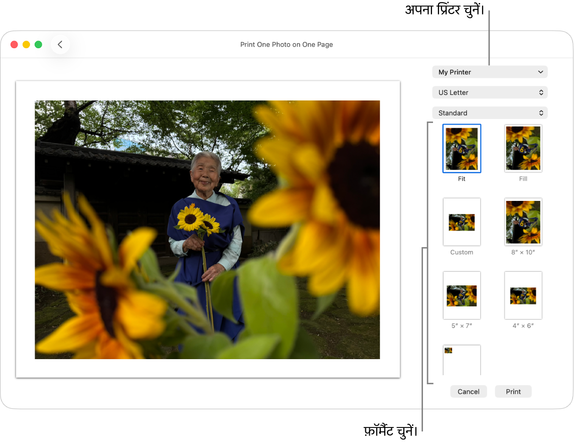 प्रिंट विकल्प चुनने के लिए एक विंडो, जिसमें बाईं ओर प्रिंट प्रीव्यू है और दाईं ओर प्रिंट विकल्प हैं।