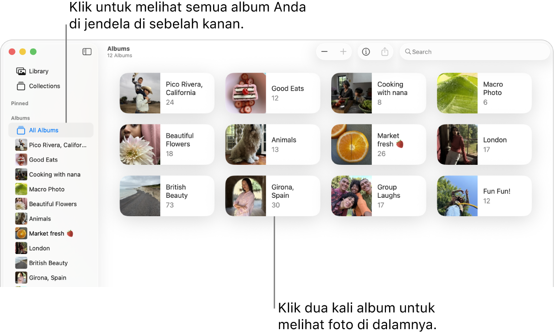 Jendela Foto dengan Album yang dipilih di bar samping, dan album yang ditampilkan di sebelah kanan.