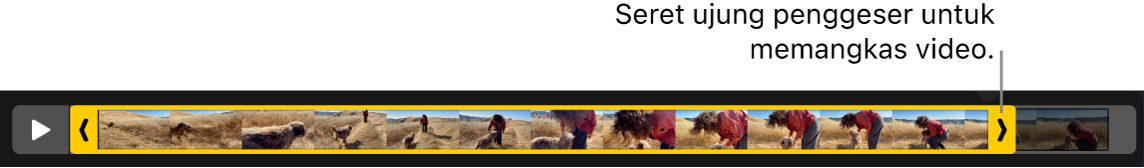 Pengendali pemangkasan di video.