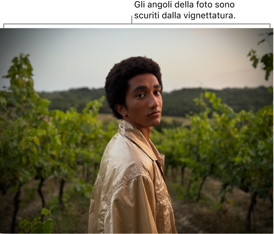 Una foto con una vignettatura applicata e un effetto scuro attorno ai bordi.