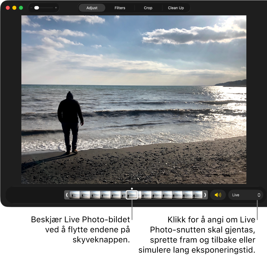 Et Live Photo-bilde i redigeringsvisning med en skyveknapp under som viser bildene i bildet. Høyttaler-knappen er til høyre for skyveknappen, og det er også en lokalmeny du kan bruke til å legge til en sløyfe-, fram og tilbake- eller lang eksponering-effekt.