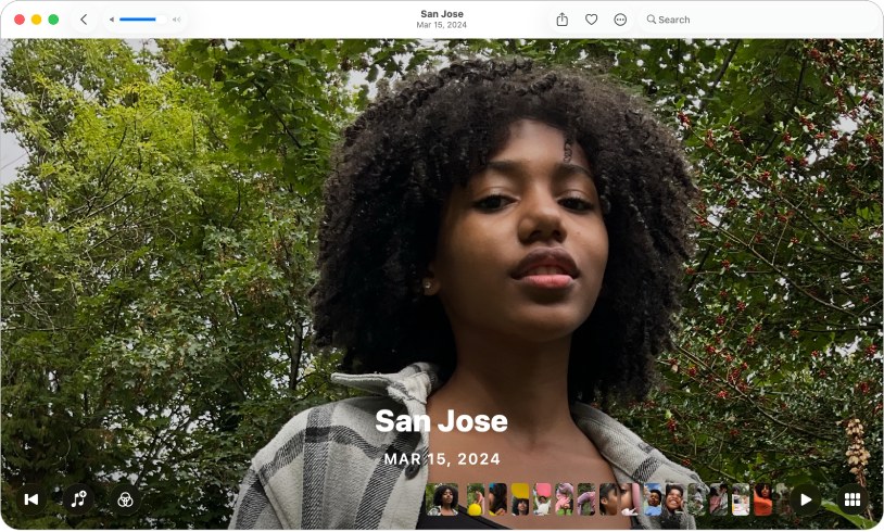 Fotoğraflar penceresi, bir anıyı ve anıdaki öğelerin görüntülenmesini denetleme ve değiştirme düğmelerini gösteriyor.