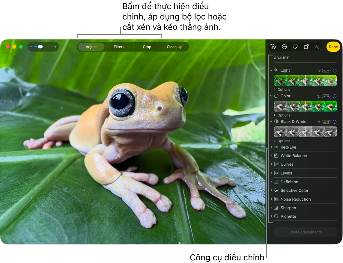 Ảnh ở chế độ sửa, với Điều chỉnh được chọn trong thanh công cụ và các công cụ điều chỉnh ở bên phải.