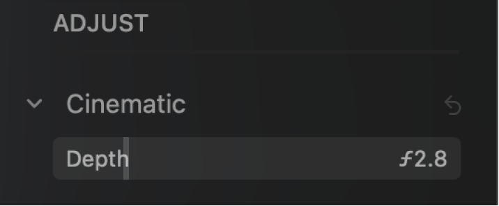 “调整”面板中的“电影效果”控制,显示“景深”滑块。