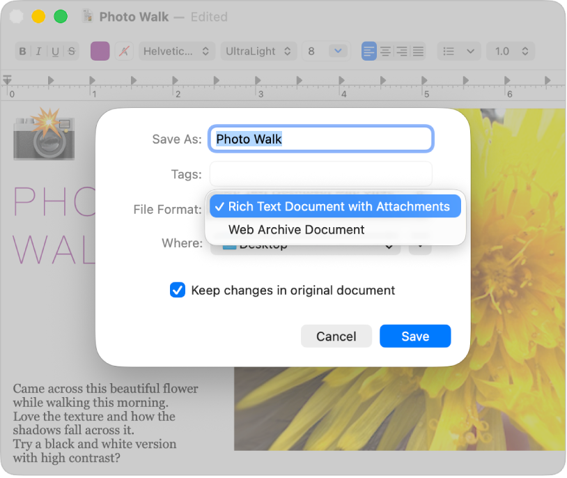 El quadre de diàleg “Desa com a” del TextEdit amb el menú desplegable “Format de l’arxiu” obert.