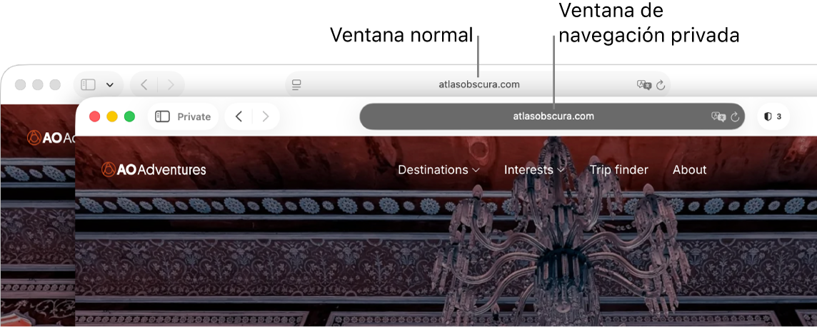 Una ventana privada de Safari con su campo de búsqueda inteligente de color oscuro y una ventana normal de Safari con su campo de búsqueda inteligente de color claro.