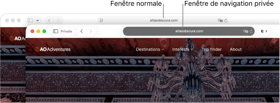 Une fenêtre privée de Safari avec son champ de recherche intelligente d’apparence sombre et une fenêtre normale de Safari avec son champ de recherche intelligente d’apparence claire.
