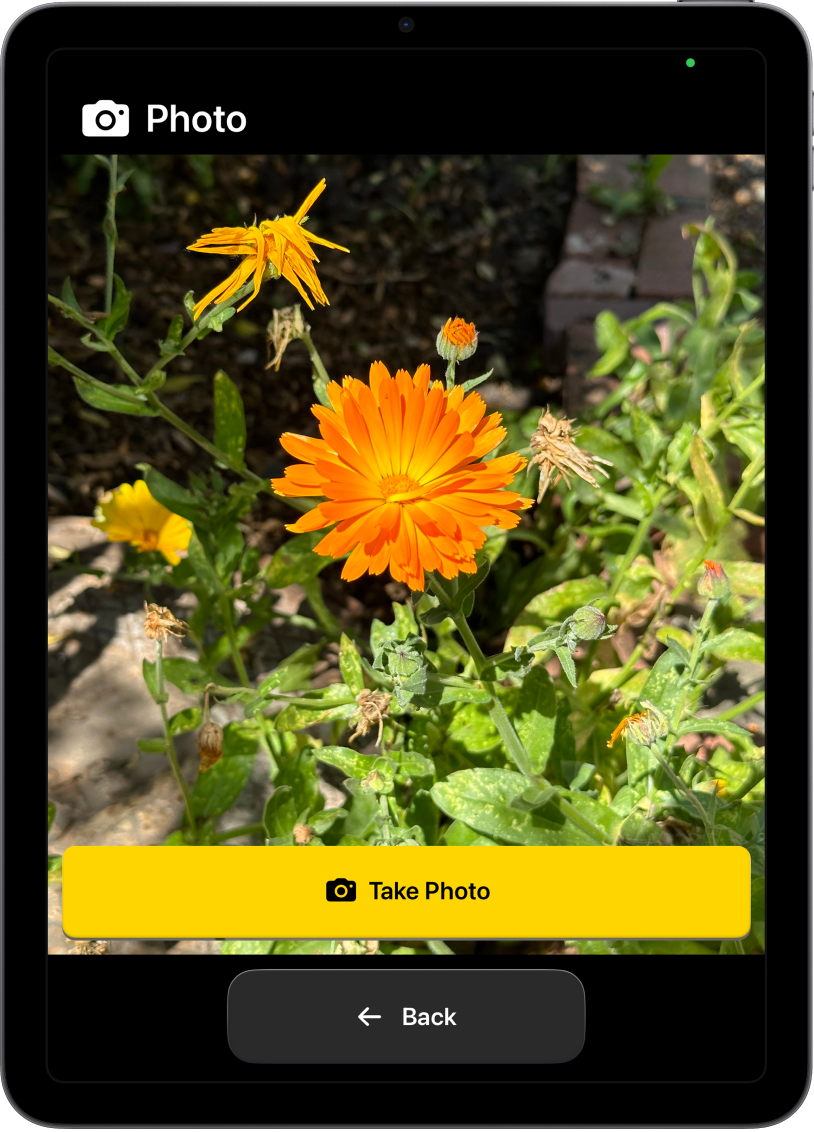 iPad v funkciji Prilagojeni dostop, ki prikazuje odprto aplikacijo Kamera in velike gumbe za fotografiranje in vrnitev na prejšnji zaslon.
