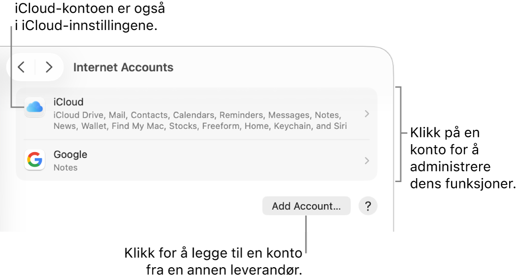 Internettkontoer-innstillingene som viser kontoer som er konfigurert på Macen.