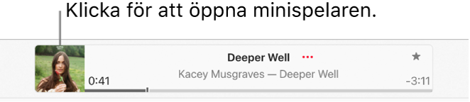 Välj albumets bildmaterial till vänster om uppspelningsfönstret för att öppna minispelaren.
