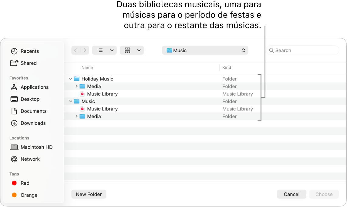 Janela do Finder mostrando várias bibliotecas: uma para músicas festivas e outra para o restante das músicas.