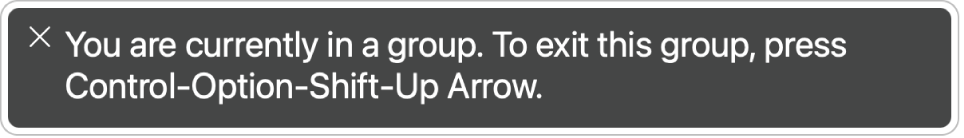 El panel de subtítulos muestra lo que está leyendo VoiceOver en estos momentos.