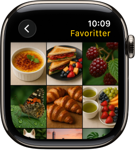 Bilder-appen på Apple Watch som viser et album som heter Favoritter, med flere bilder vist i et rutenett.